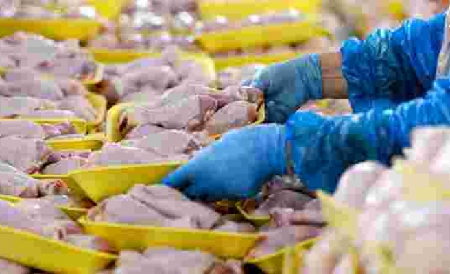 Kırmızı Etin Yeni Rakibi Tavuk Eti Fiyatları Son Üç Ayda Yüzde 50 Arttı