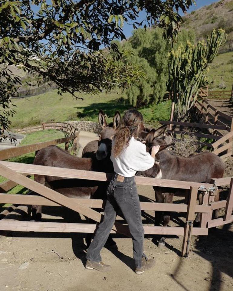 Ian Somerhalder ve Hollywood'dan Uzaklaşarak Çiftlik Hayatına Yönelmesi