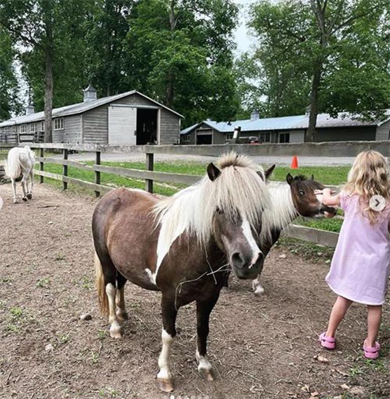 Amanda Seyfried ve Ailesinin Kırsal Hayatı: Doğayla İç İçe Bir Yaşam