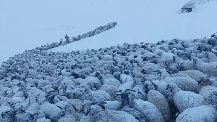 Başkale'de Karla Mücadele: Sualtı Mahallesi'nde Ulaşım Zorlukları