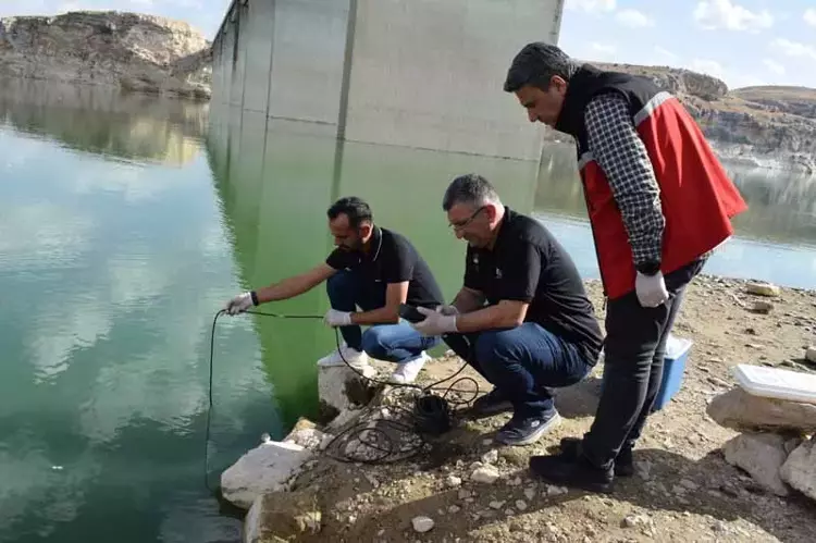 Batman'da Toplu Balık Ölümleri Üzerine İnceleme Başlatıldı