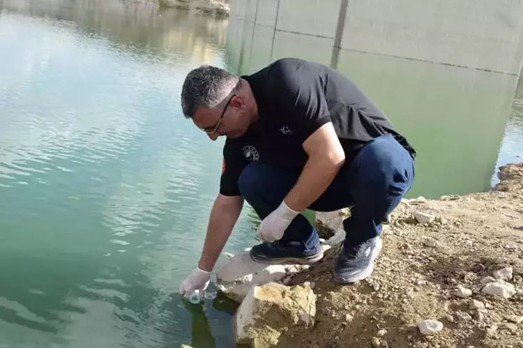 Batman'da Toplu Balık Ölümleri Üzerine İnceleme Başlatıldı