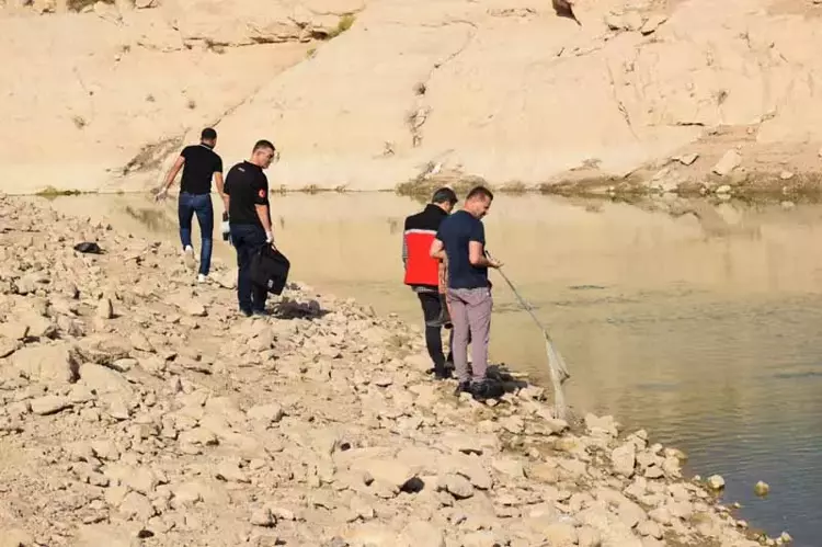 Batman'da Toplu Balık Ölümleri Üzerine İnceleme Başlatıldı