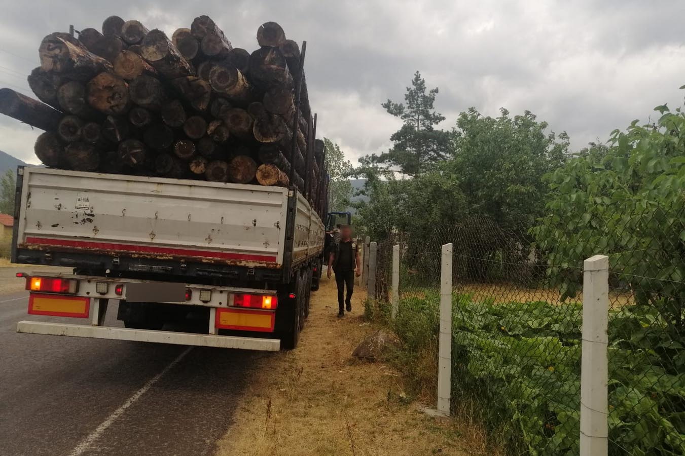 Bolu'da Kaçak Ağaç Kesimi İddiaları