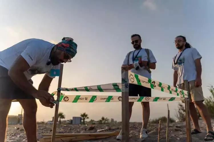 Caretta Caretta'ların Uzak Yolculuğu