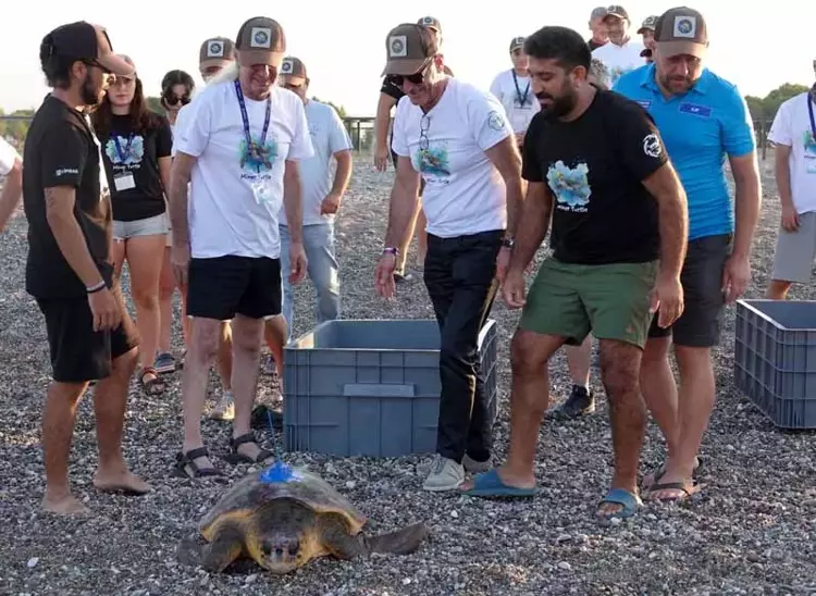 Deniz Kaplumbağalarının Korunması