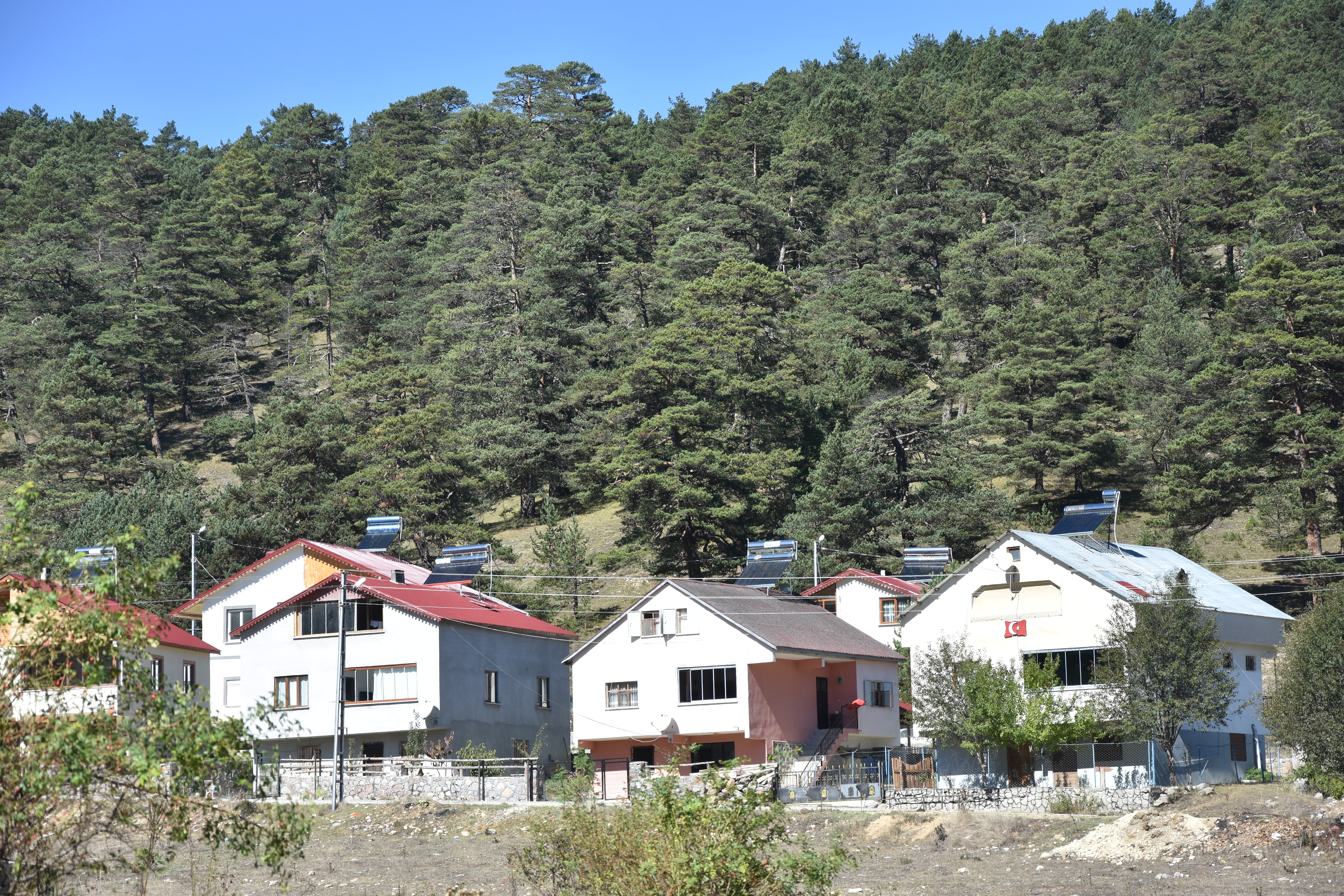 Eğriçimen Yaylası: Doğanın Gözdesi ve Hızla Değişen Yapısı