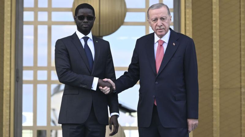 Senegal Cumhurbaşkanı Fay'dan Açıklama