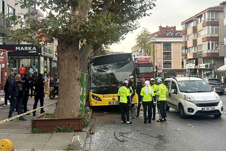 İETT Otobüsü Ağaçla Çarpıştı