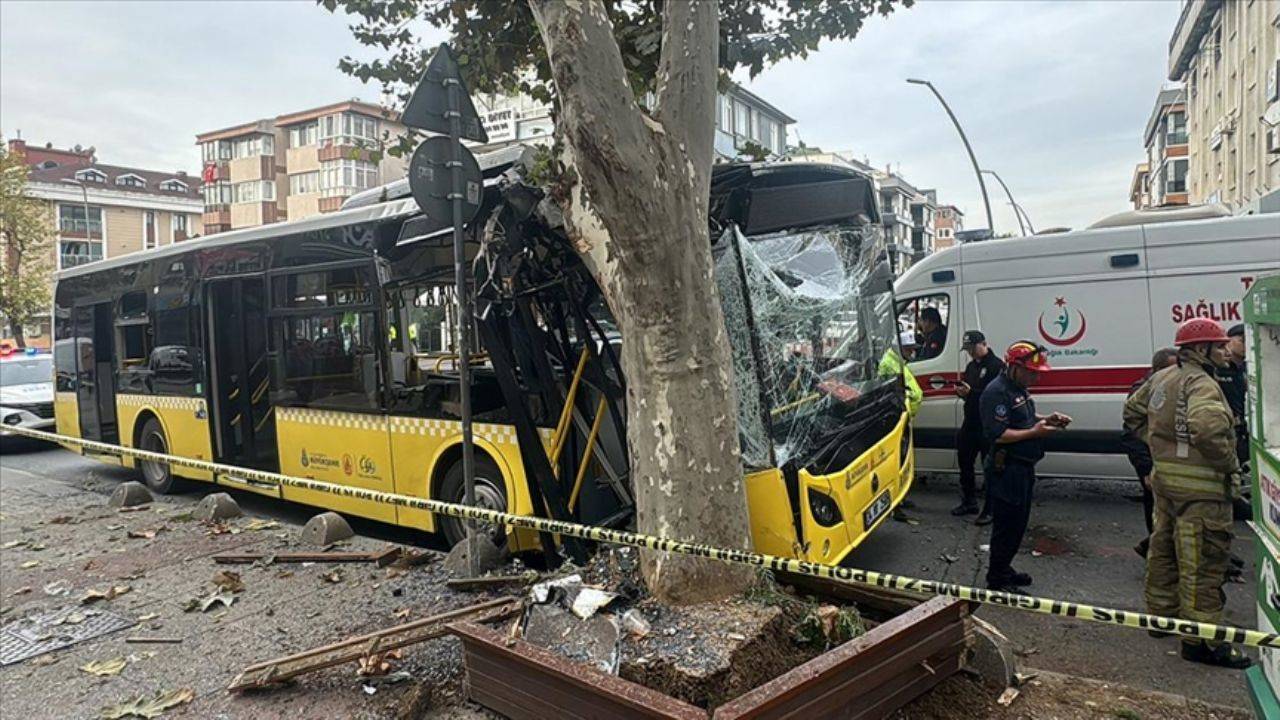 İETT Otobüsü Ağaçla Çarpıştı: 7 Yaralı