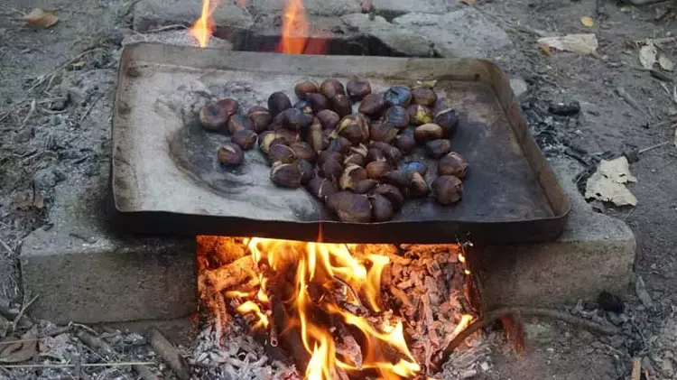 Isparta'nın Yenice Mahallesi'nde Kestane Hasadı