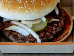 McDonald’s Hamburgerlerinde Koli Basili Alarmı