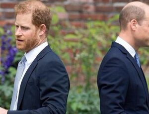 Prens William ve Prens Harry’nin Kayıp Yılları: Annenin Anısı ve Hayır İşleri