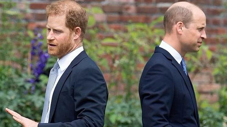 Prens William ve Prens Harry’nin Kayıp Yılları: Annenin Anısı ve Hayır İşleri