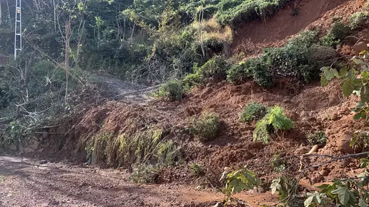 Rize'deki Şiddetli Yağışların Etkileri ve Çevresel Sonuçları