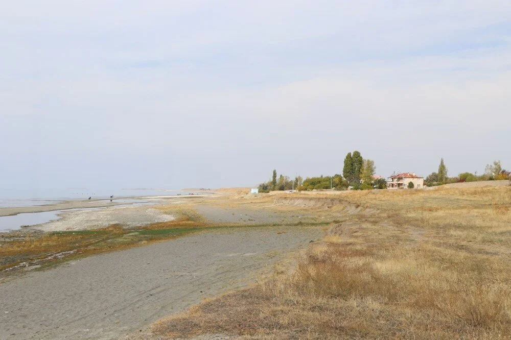 Rojin Kabaiş'in Kayboluşu ve Arama Çalışmaları