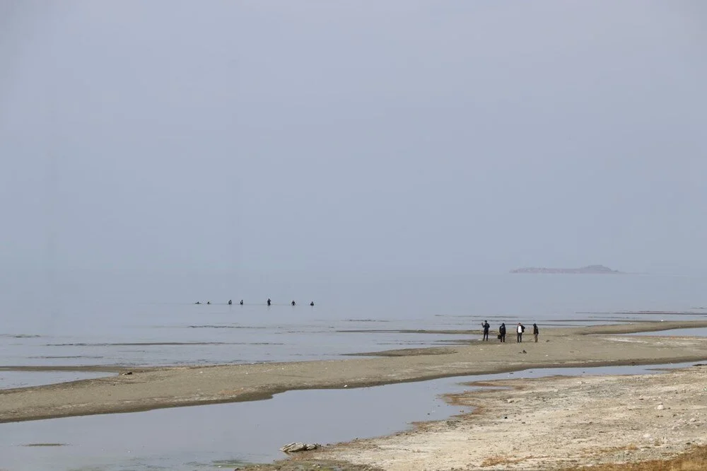 Rojin Kabaiş'in Kayboluşu ve Arama Çalışmaları