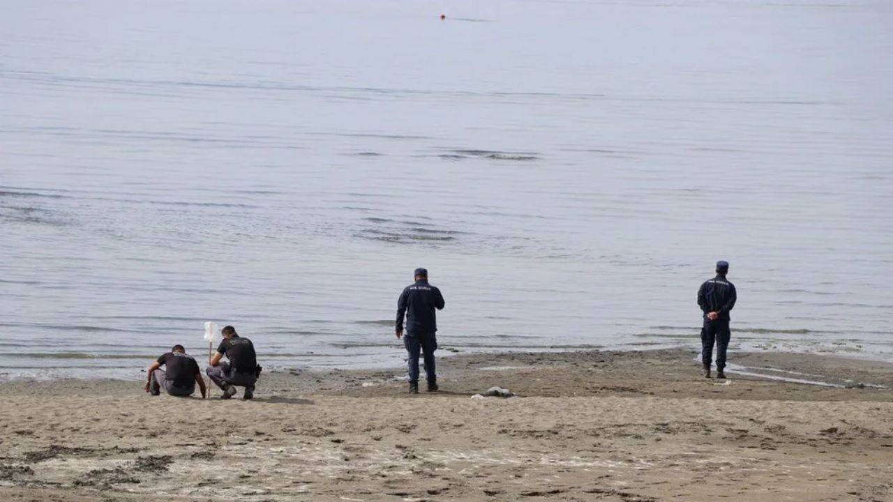 Rojin Kabaiş’in Kayboluşu ve Arama Çalışmaları