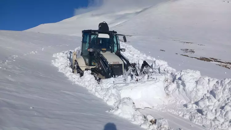 Sivas'ta Kar Yağışı Besicileri Mağdur Etti