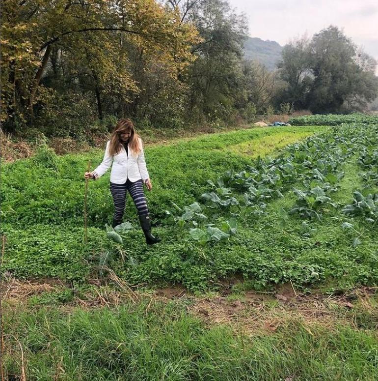 Ünlülerin Doğaya Dönüşü: Zeytin Hasadından Organik Tarıma