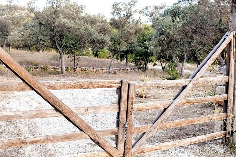 Ünlülerin Doğaya Dönüşü: Zeytin Hasadından Organik Tarıma