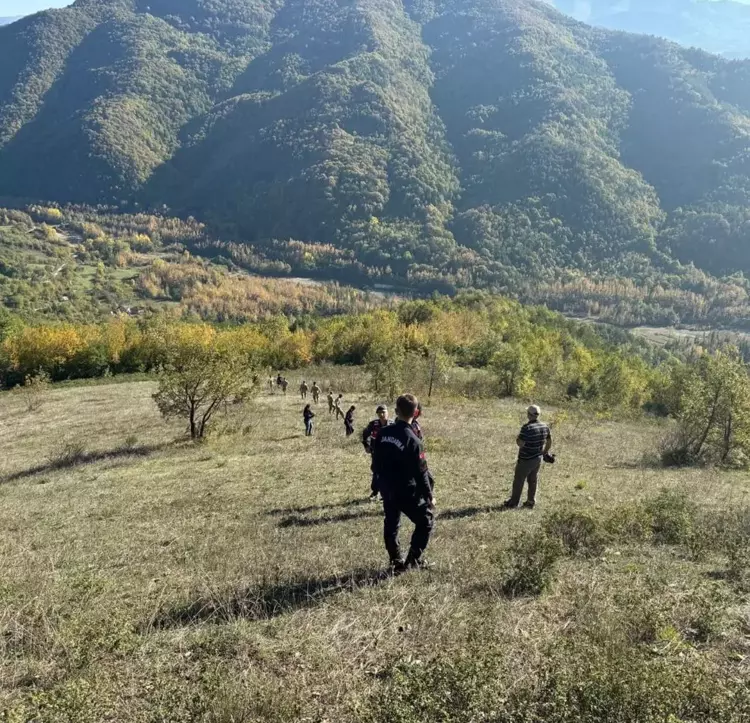 Yaşar Dursun'un Eşek Almak İçin Kaybolması ve Arama Çalışmaları