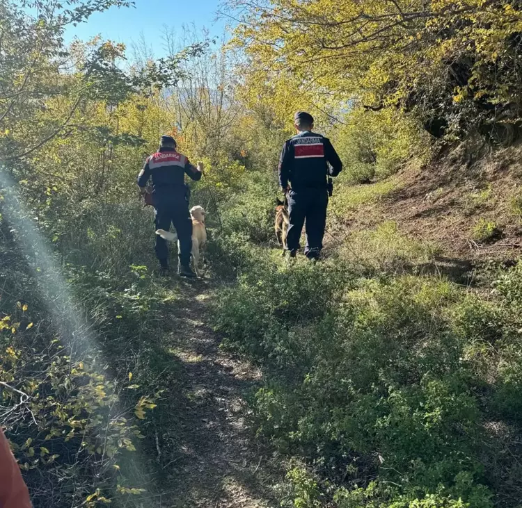 Yaşar Dursun'un Eşek Almak İçin Kaybolması ve Arama Çalışmaları