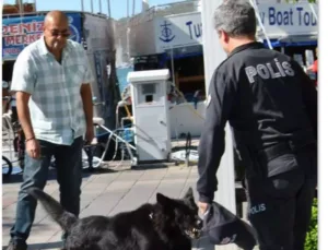 29 Ekim Cumhuriyet Bayramı’nda Polis Memuruna Köpek Saldırısı