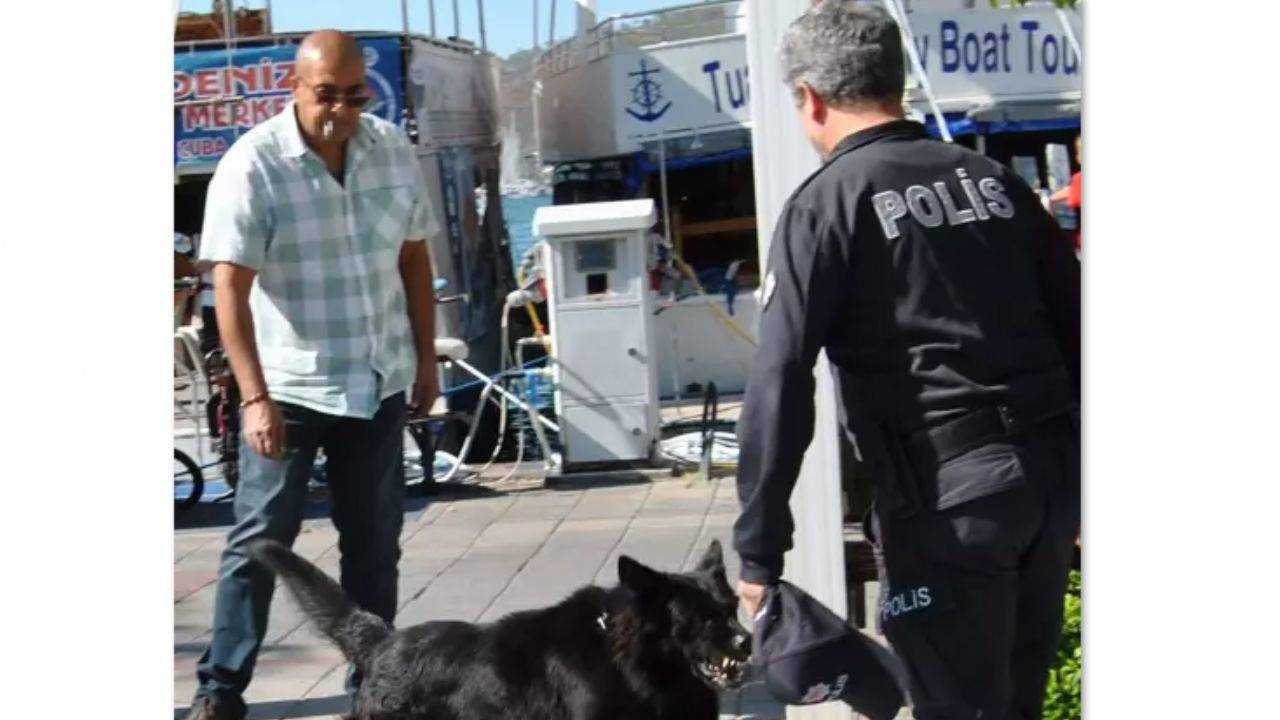 29 Ekim Cumhuriyet Bayramı’nda Polis Memuruna Köpek Saldırısı