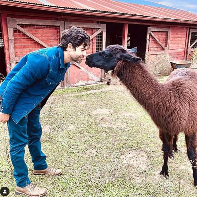 Adrian Grenier'dan Mutlu Haber: İkinci Bebek Yolda