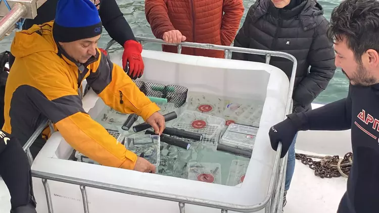 ÇOMÜ ve Gelibolu Tarihi Alan Başkanlığı'ndan HMS Majestic İçin İstakoz Projesi