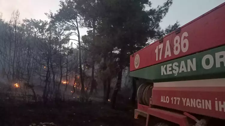 Edirne'nin Gökçetepe Köyü'nde Orman Yangını