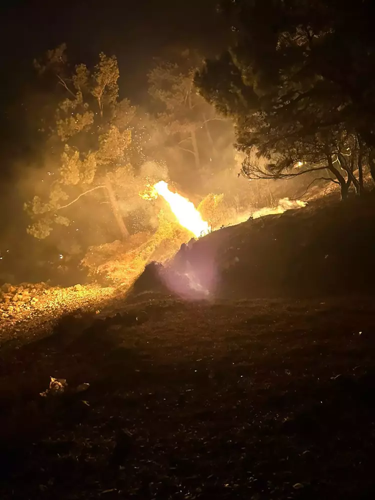 Edirne'nin Gökçetepe Köyü'nde Orman Yangını Kontrol Altına Alındı