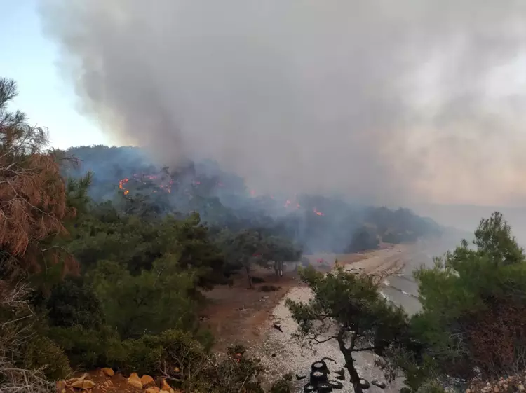 Edirne'nin Gökçetepe Köyü'nde Orman Yangını Kontrol Altına Alındı