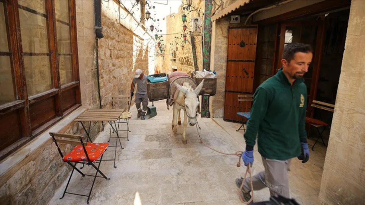 Mardin’de Eşeklerin Emekliliği: Yeni Temizlik Yöntemleri