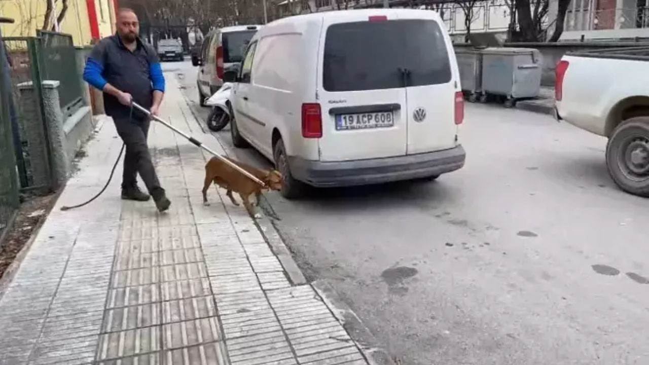 Çorum’da Kayıp Ahmet Selim Vural’ın Cesedi Bulundu