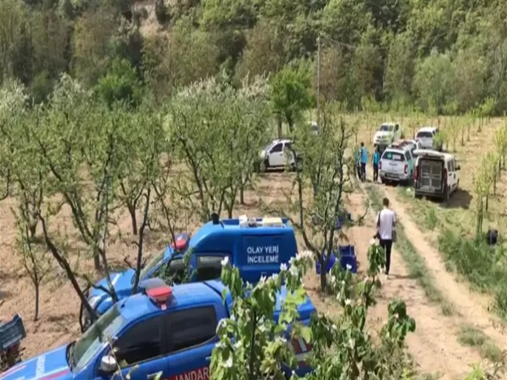 Elbeyli Mahallesi'nde Define Kazılarına Operasyon Düzenlendi