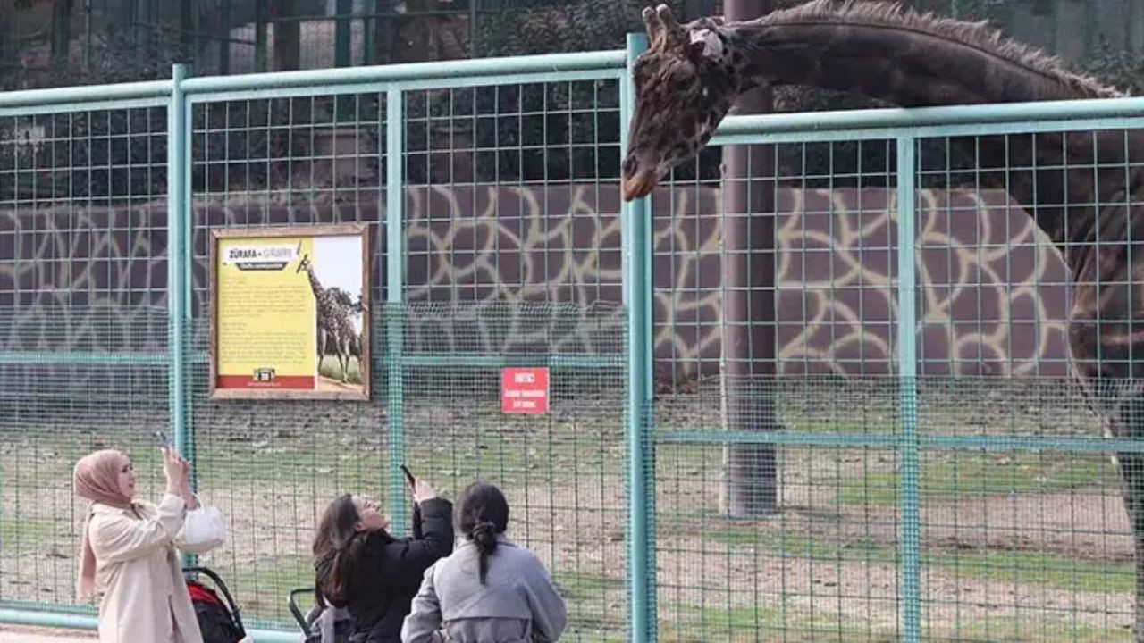 Gaziantep Hayvanat Bahçesi’nde Rekor Ziyaretçi Sayısı