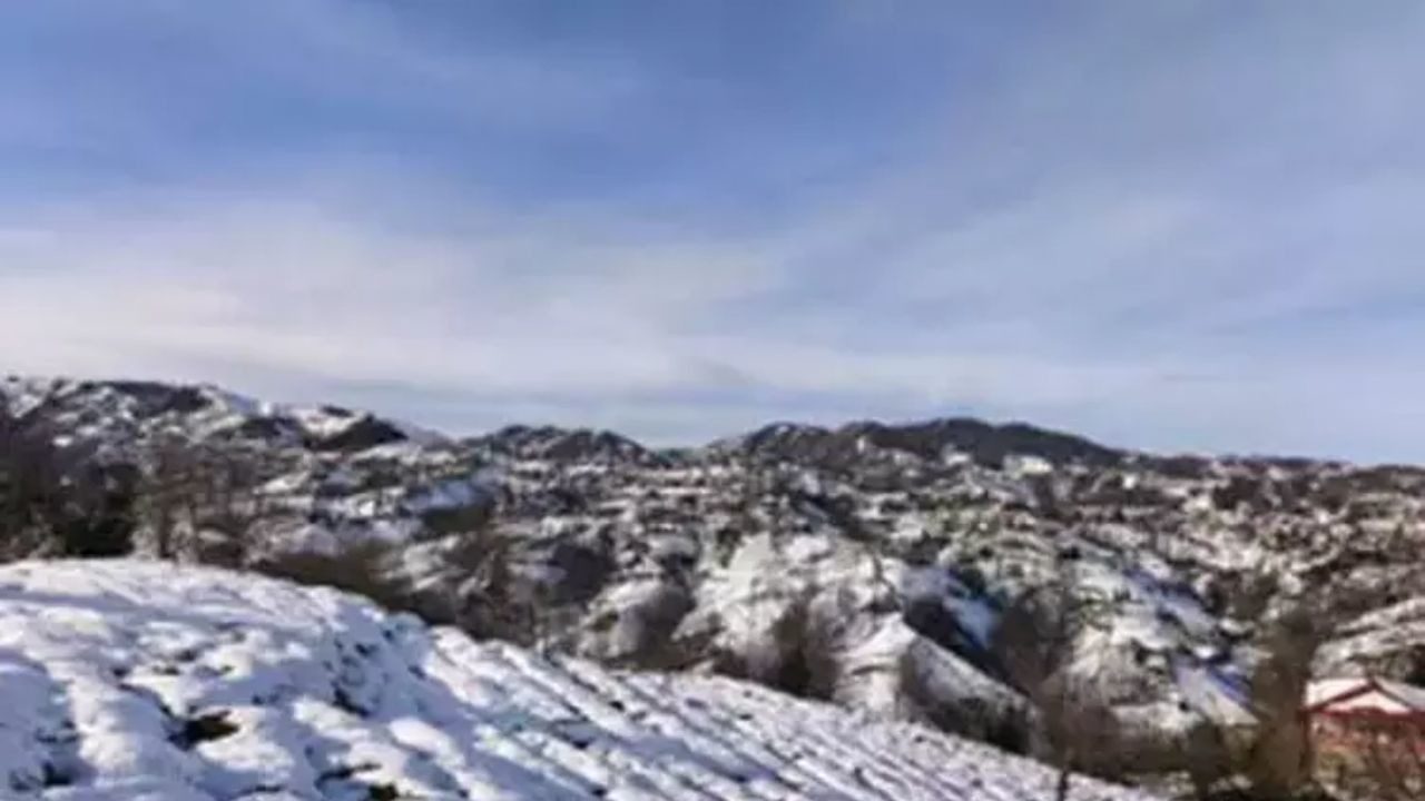 İklim Değişikliğinin Doğu Karadeniz Çay Tarımına Etkileri