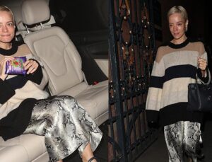 Lily Allen’ın Hayatı ve Kariyerindeki Dönüm Noktaları