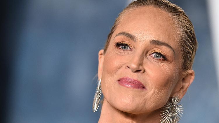 Sharon Stone: Şöhret, Zorluklar ve Sanat Yolculuğu