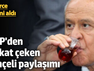 Devlet Bahçeli’nin 77. Doğum Günü ve Siyasi Kariyeri