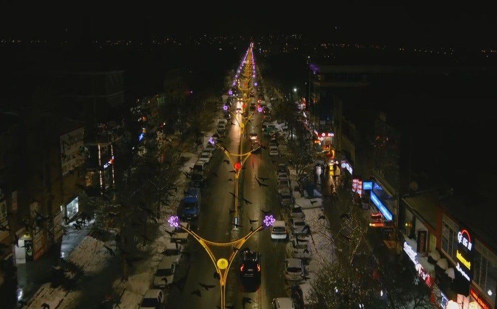 Erzincan'da Karga Sorunu ve Çözüm Arayışları