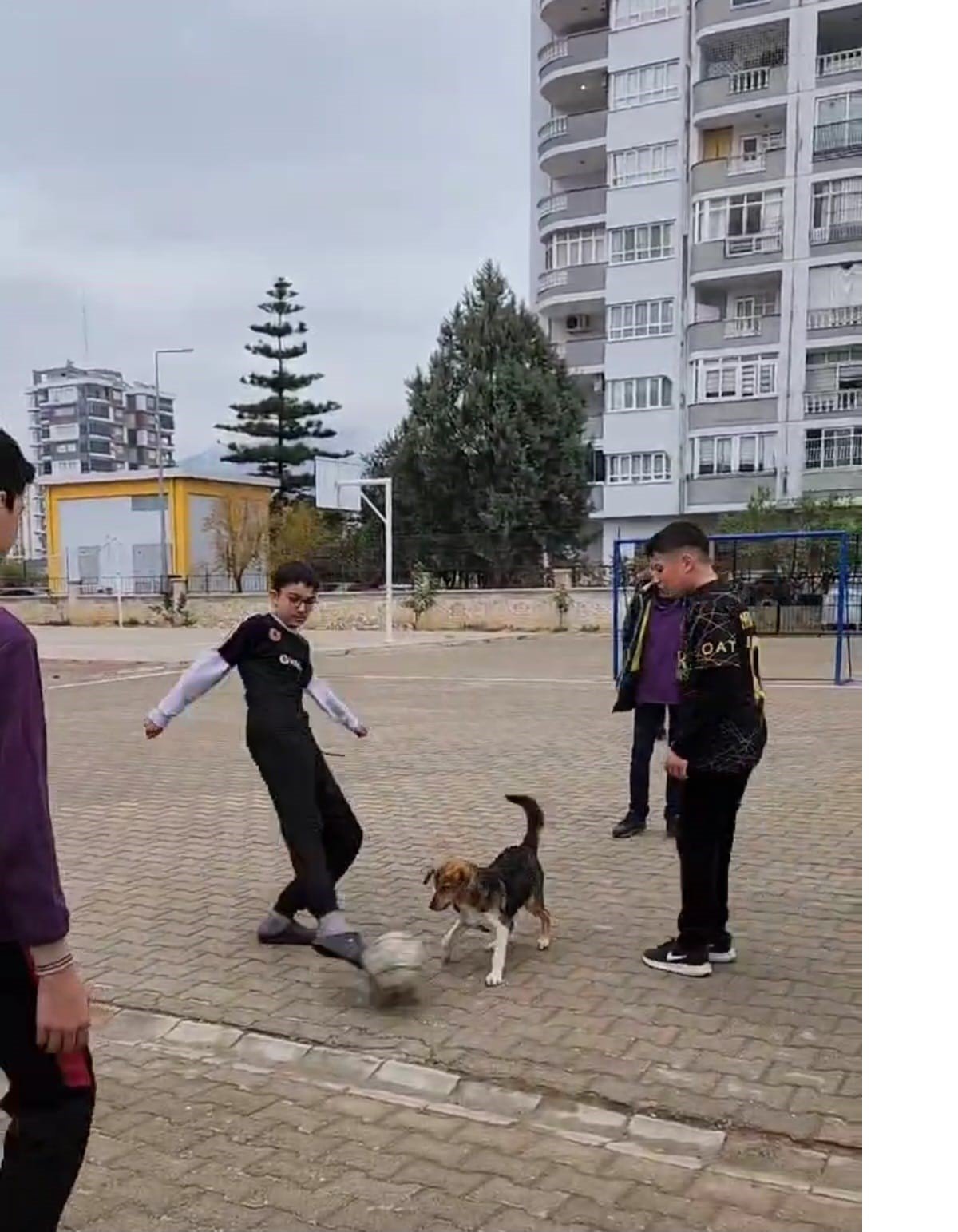 Futbol Oynayan Sevimli Köpek: Öğrencilerin Keyifli Anları