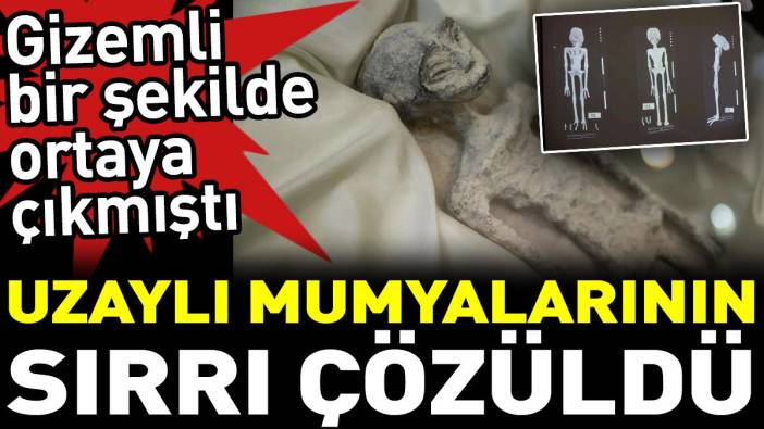 3300 Yıllık Mumyadan Elde Edilen Veriler