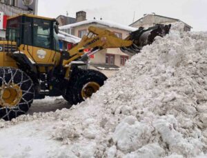 Karlıova’da Yoğun Kar Yağışı Hayatı Olumsuz Etkiledi