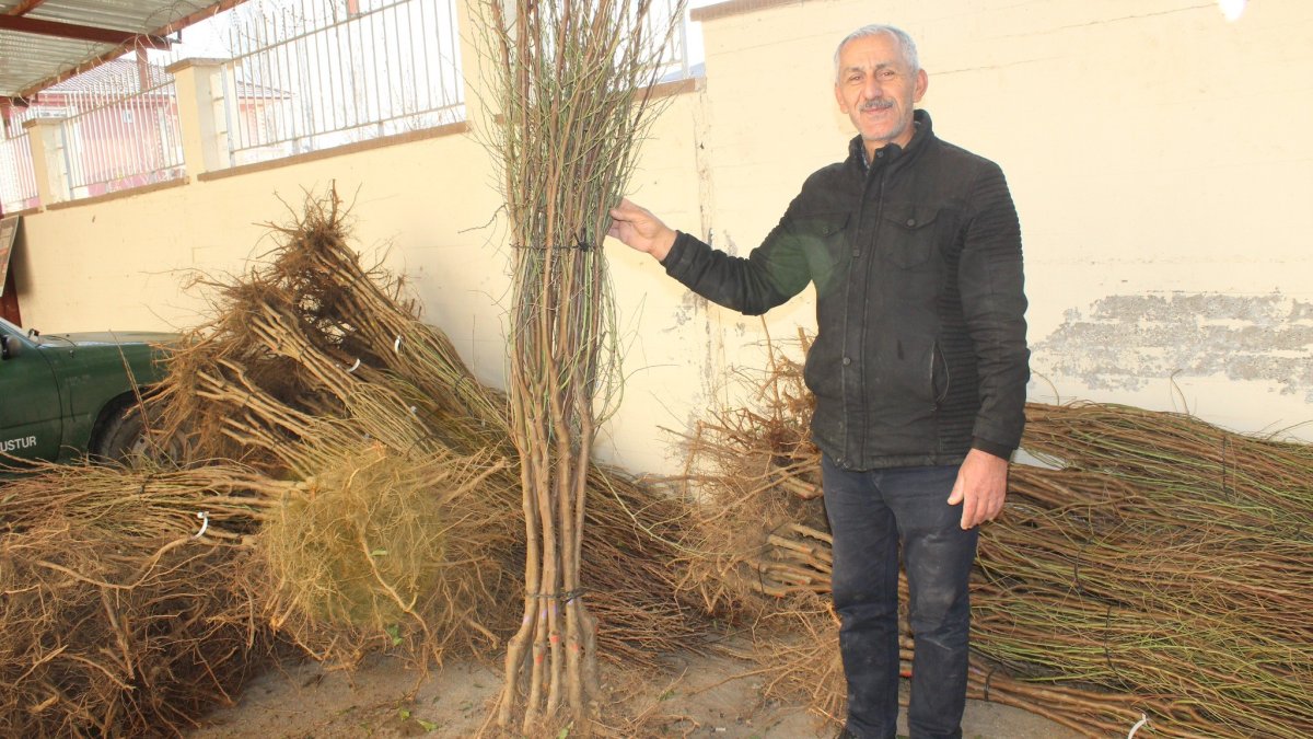 Pazar İlçesinde Badem Yetiştiriciliğinde Yeni Proje Başlatıldı