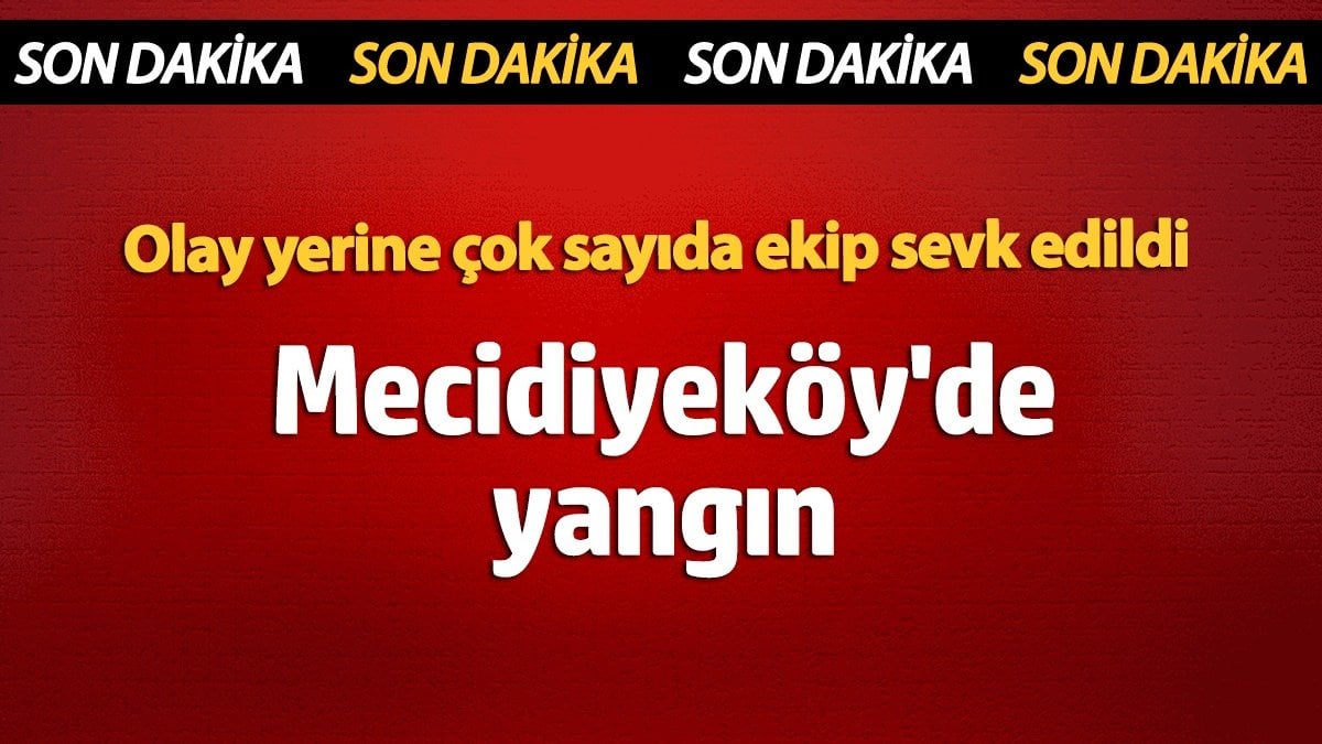 Yeniçağ: Keşifler ve Dönüşüm Dönemi